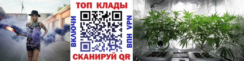Где купить Протвино COCAIN Меф мяу мяу ГАШИШ kraken tor Бошки Шишки