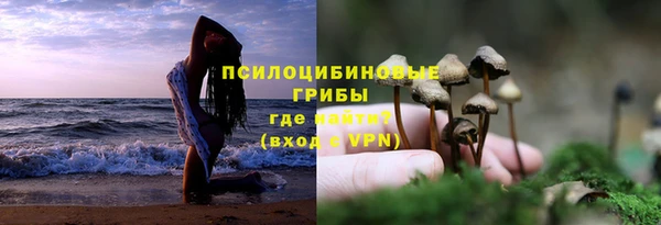jwh Алзамай