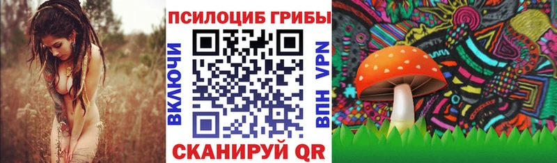 Псилоцибиновые грибы ЛСД  купить закладку  Протвино 